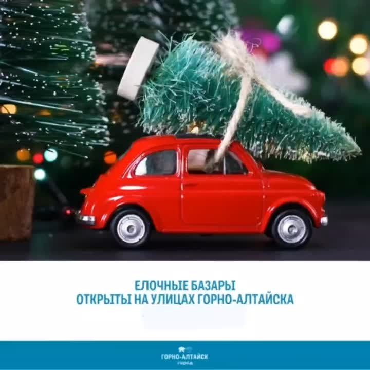 Елочные базары открыты на улицах Горно-Алтайска