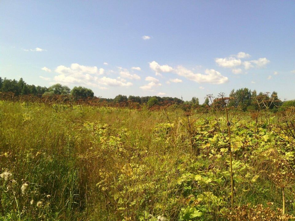 ����� ������������� ������� ��������� ��������� ����������� ������ � ���������� ����������� �� ������� ��������� �������� ��������������������� ���������� �� ������ ��������������