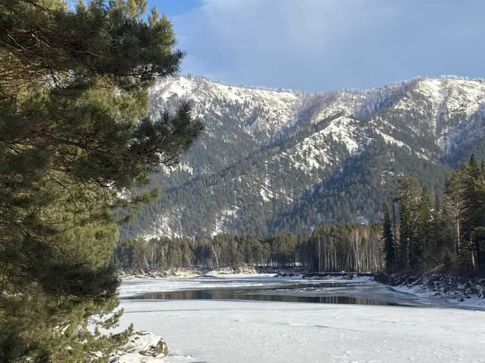 #���������������. *** ������ ������� �������� �� ������