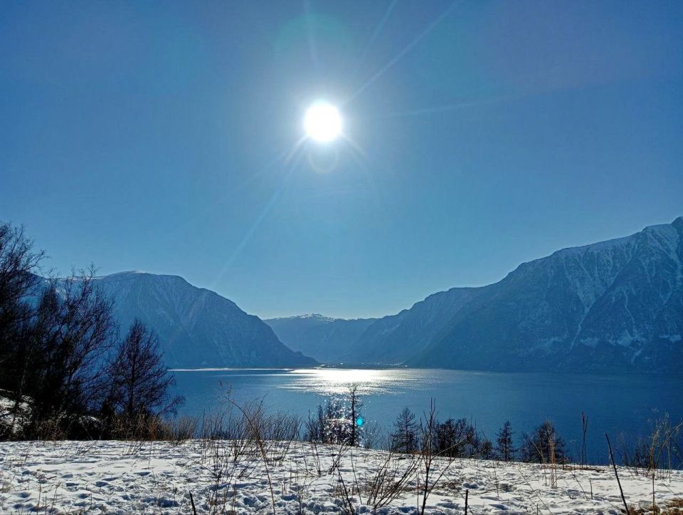 ������� ������ � �����!. ������ "���������" ������ ��������� ����� ���������� ������ �������� � ��������� �������