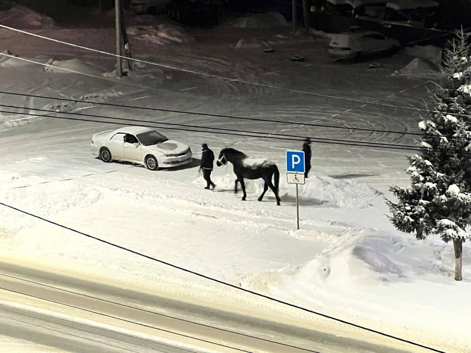 �� ����������. ���� �� ���������, ���� ������������� ����� �� ������ ���� ����������)) ��������� ��������