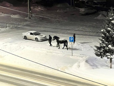 �� ����������. ���� �� ���������, ���� ������������� ����� �� ������ ���� ����������)) ��������� ��������