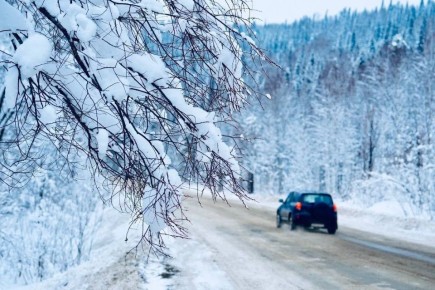 ��������� ���������: �������� � �������, � ������� ��� ��������� ������ ��� �����