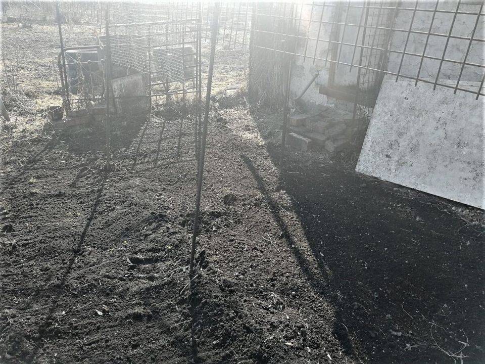 ����� ������ � ������������� ���������� ������������