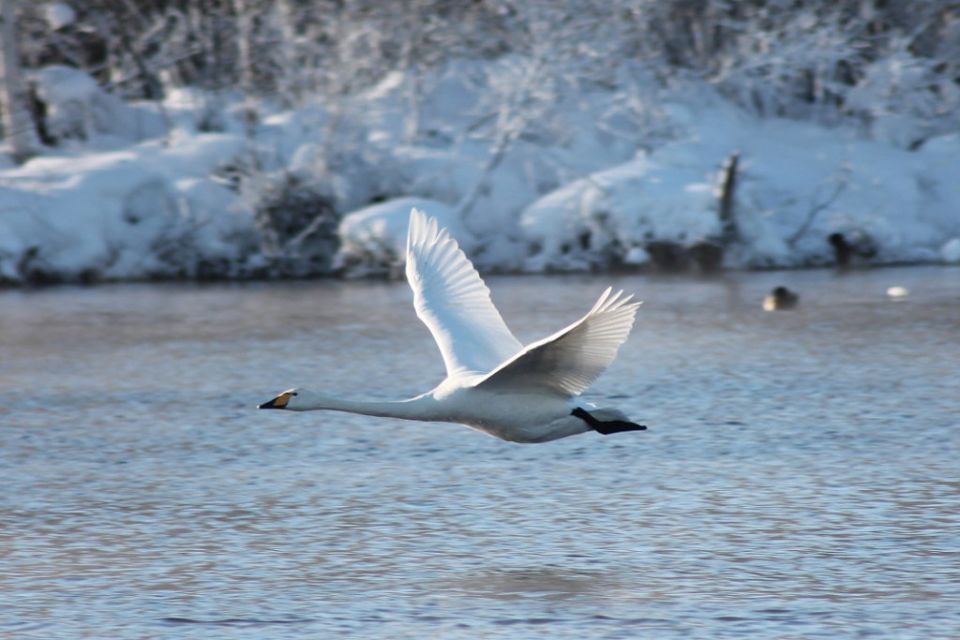 Hapo���e �p��e�� �a 20 �e�a�p� � A�poc��o� �e��