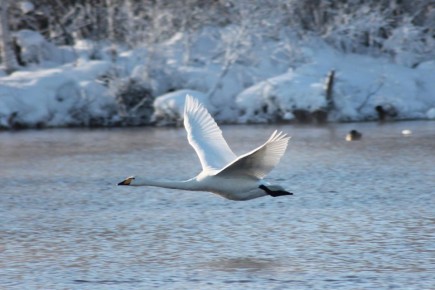 Hapo���e �p��e�� �a 20 �e�a�p� � A�poc��o� �e��