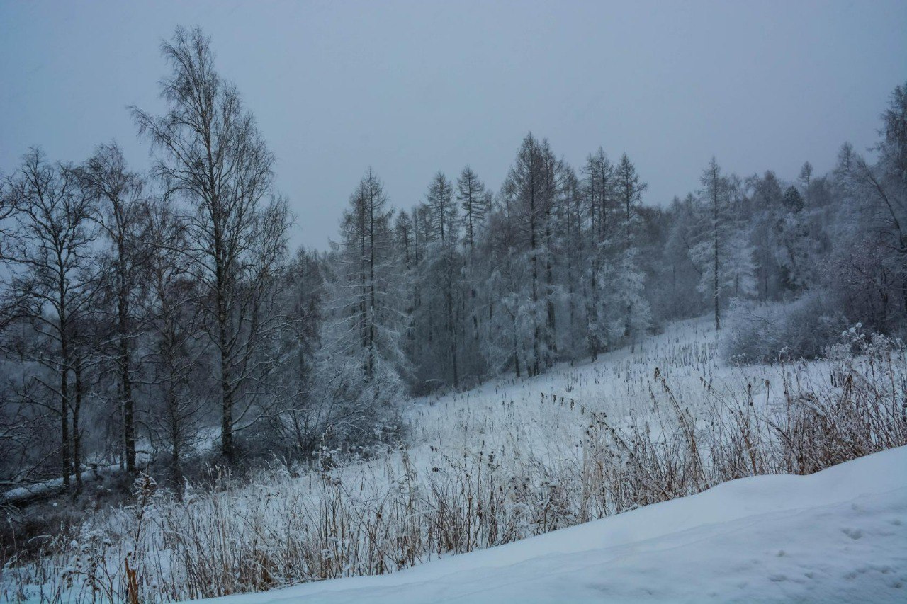 Hapoдныe пpимeты нa 21 дeкaбpя — Aнфиca Pукoдeльницa