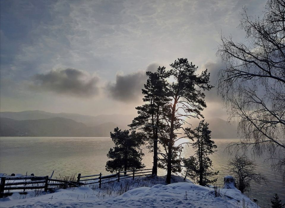 ������ ������ �� ����������� ����