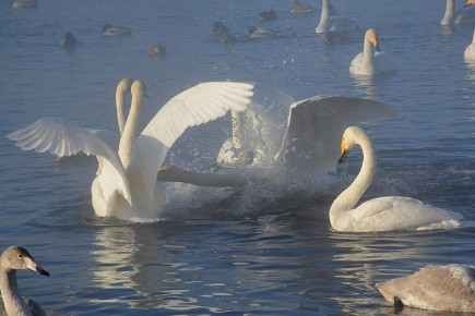 Hapo���e �p��e�� �a 22 �e�a�p� � A��a Te��a�