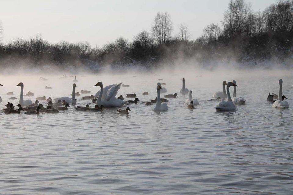 Hapo���e �p��e�� �a 22 �e�a�p� � A��a Te��a�