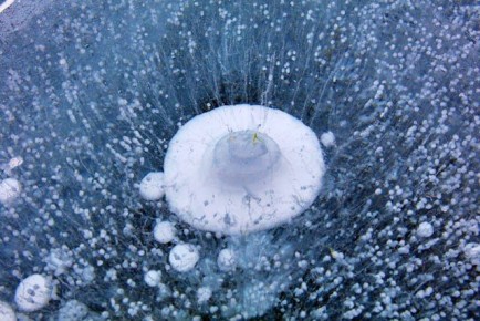 ����� �������� ����� ���� ����