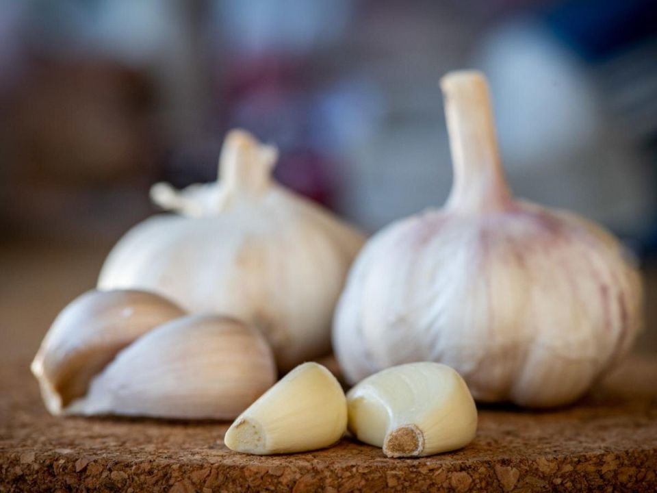 ���������� ����� ��� ������� ������� ������