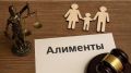 Рассмотрено уголовное дело о неуплате алиментов