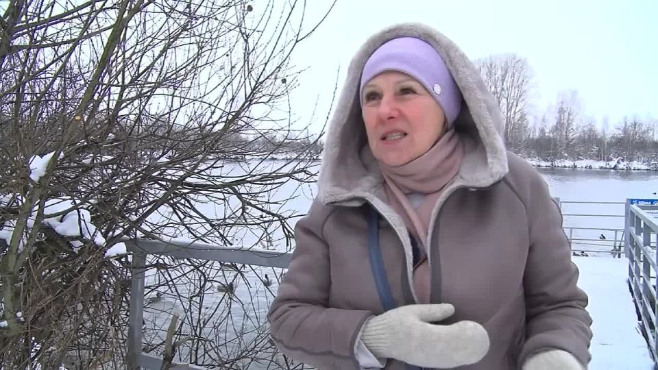 Озеро Светлое в Алтайском крае туристы прозвали Лебединым: сюда прилетает на зимовку лебедь-кликун