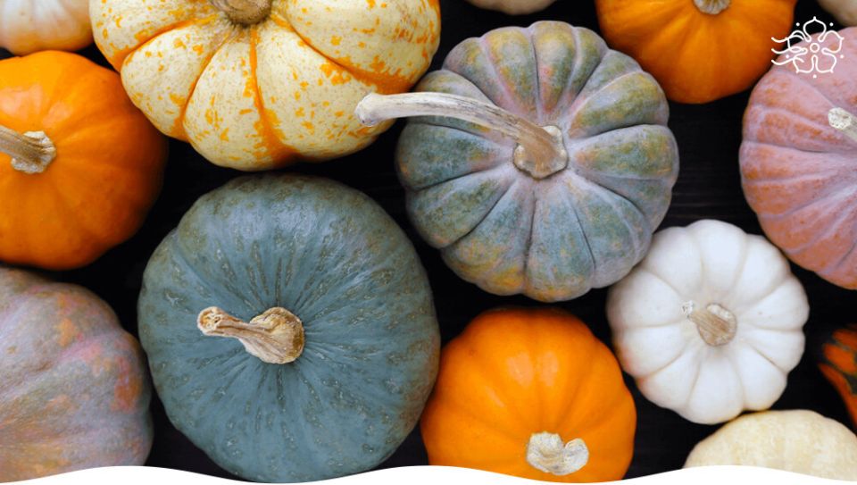 ���� ����� ������� � ��������� ������ ����� ��� ������ �������