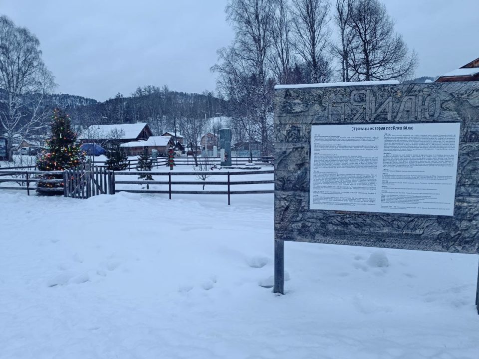 В селе Яйлю нарядили живую ёлку