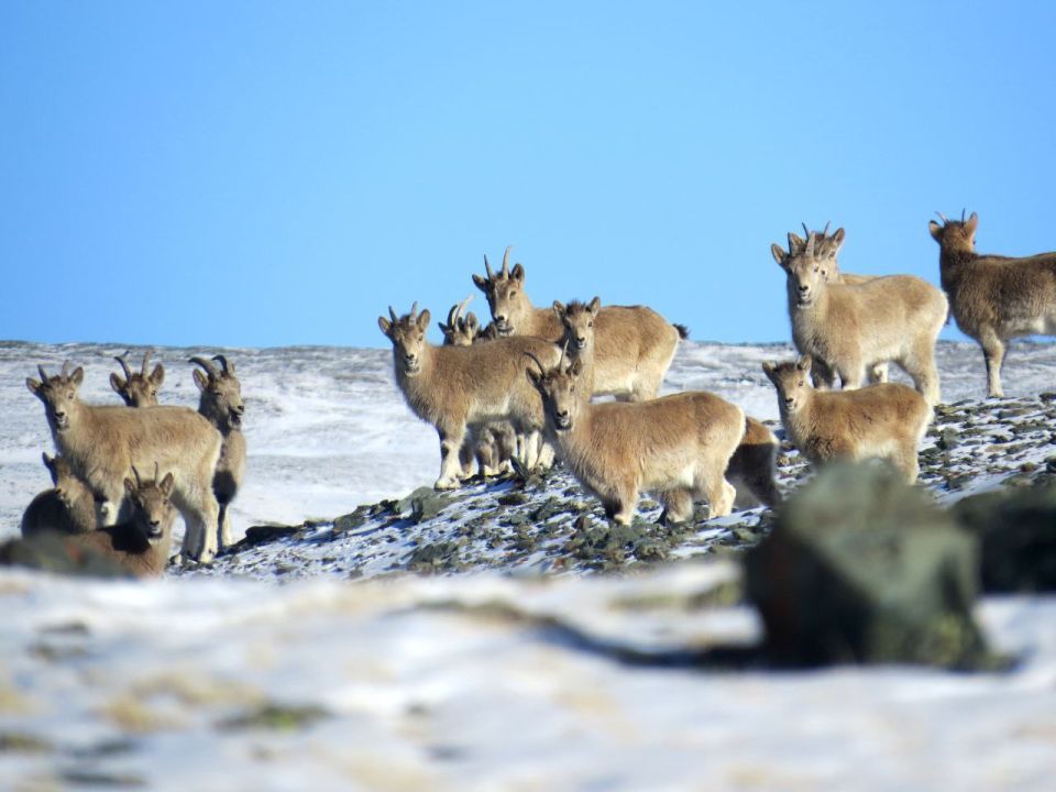 � ��� ��� �� ��� �������? ���, ������� ���� ����������, ����� ����!