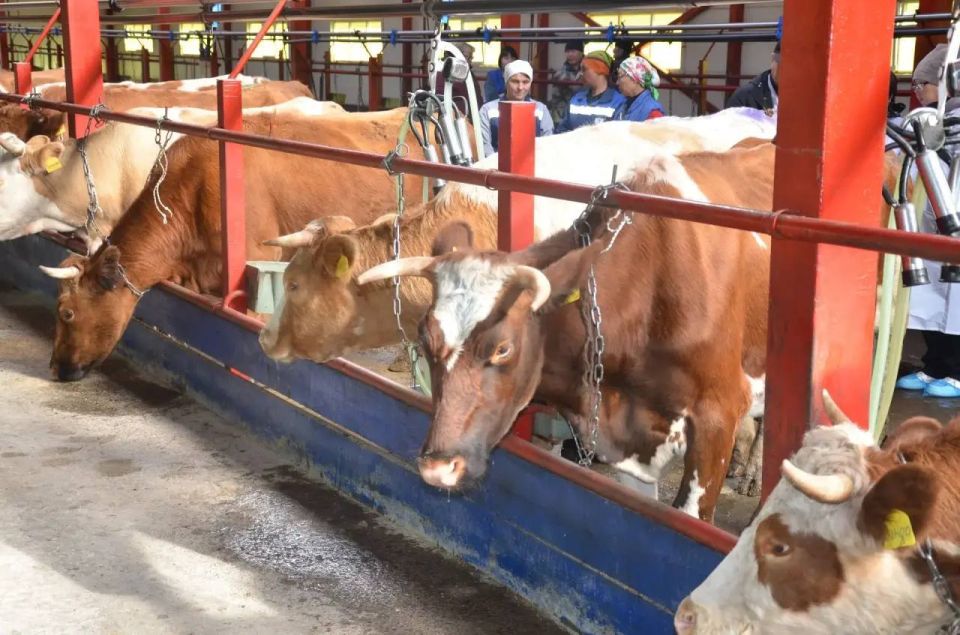 ��������� ���������: � ���� ���������� ������������ ������ - ���� �������-���� � �������, ������� ���������� � �������� �������� �����