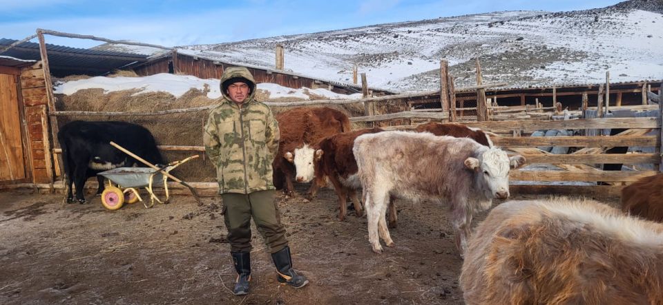 ���������� ���������: ��� ����� ����������� ������?