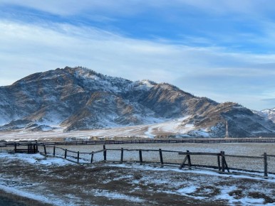 ������ ����, #���������������