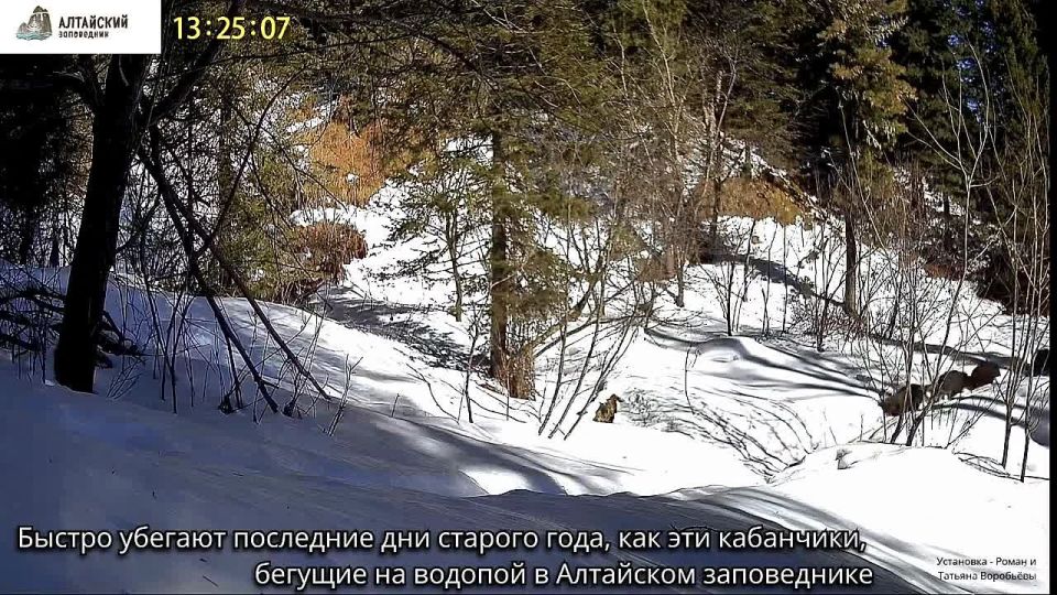 ��������� ������ ��������� ���� ������, ��� ��� ��������� � ��������� �����������