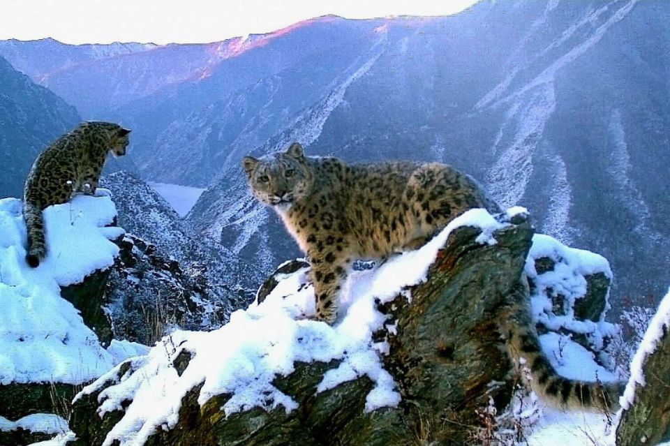 87 ������� ������ ������������� � ������� 2025 ���� �� ����������� ������ � ������, �� ��� 54 ������� � ���������� �����!