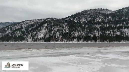 � ���� � ����� ����������� ��������