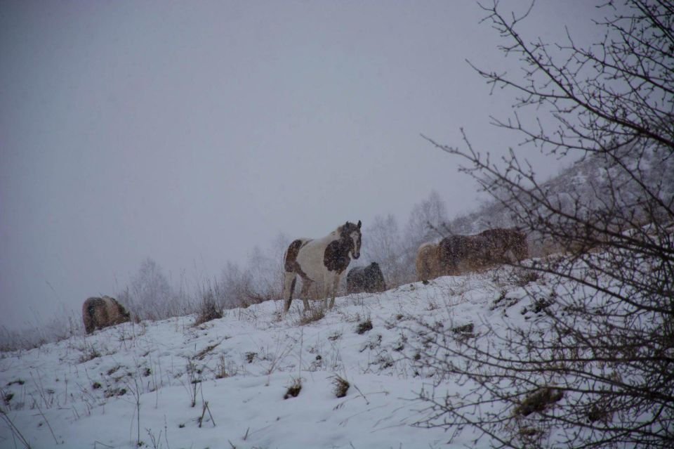 ����� �����: ���������� ����� �� ������ ����� �� ������� �� ���� ���������