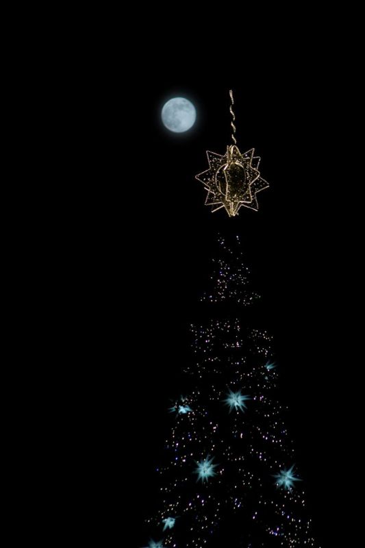 � ��� ��� ���� � �����. �������