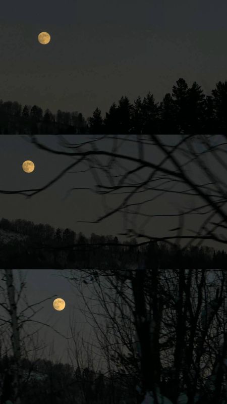 ��������� ����������� ���� �� ����������