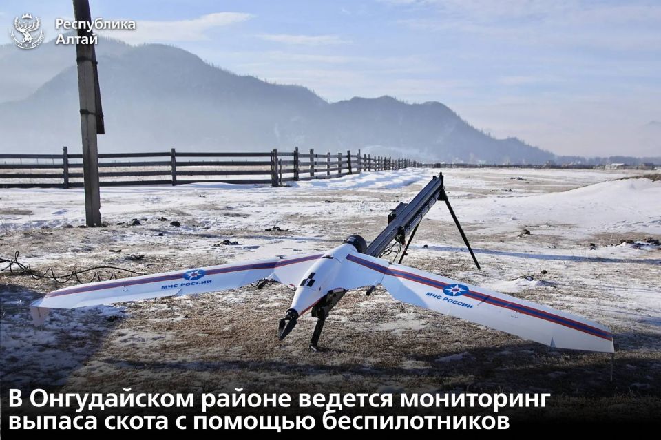 ����������� ������ ����������� ����������� ������ �������� ���������� ��� ������ �� �� �������� � ����������� ������