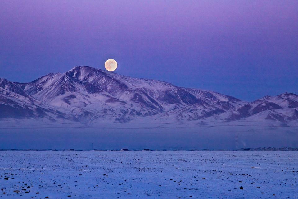 � ���-�����. �����: ������� �������