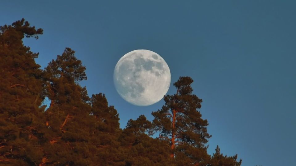 ���������� ��� ���, ��� ��������� ������ ���������� 2026 ���� � ������ ������� ����