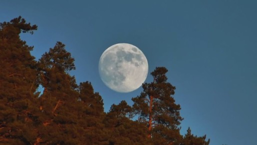 ���������� ��� ���, ��� ��������� ������ ���������� 2026 ���� � ������ ������� ����