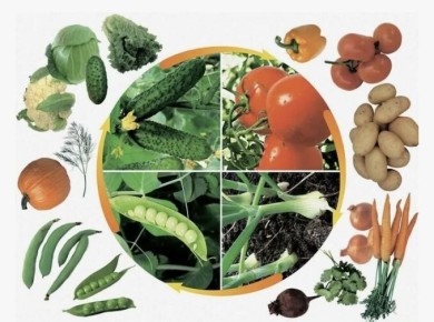 ���������� �� �������: ������� ��������� ����������