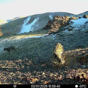 � ���������� ��������� ����� ������������� � ��������� ������� ���������� ������� �����, � �� ��������, � ������ �������