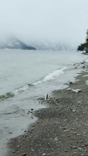 ��������� ����������, ������� ������� ��������, ����