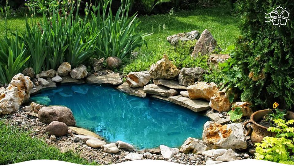 ��� ������� ��������� ������ �� �������: ���� � ������������ ������