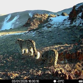 ����������� � ������� ������ ������ ������ � ������������ ��������