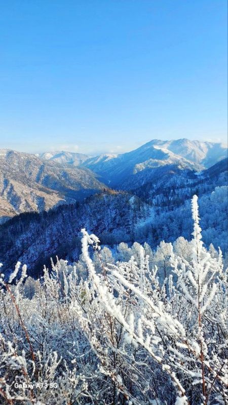 ������� ������� ������ � ������� ���� ������� � ������