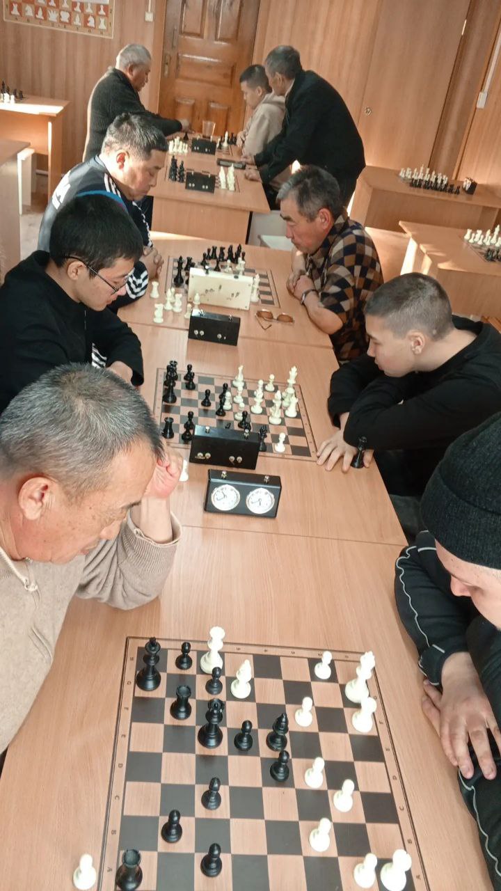 Турнир по шахматам на призы Деда Мороза прошел в Кош-Агаче Турнир по шахматам на призы Деда Мороза прошел в Кош-Агаче