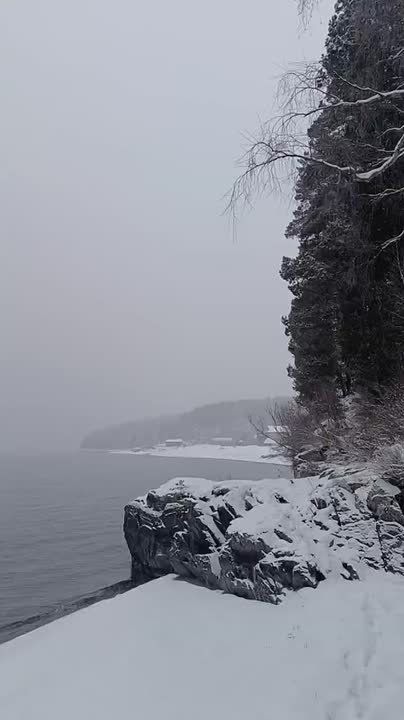 ������ ��������� ����� ����� ��������� ��������