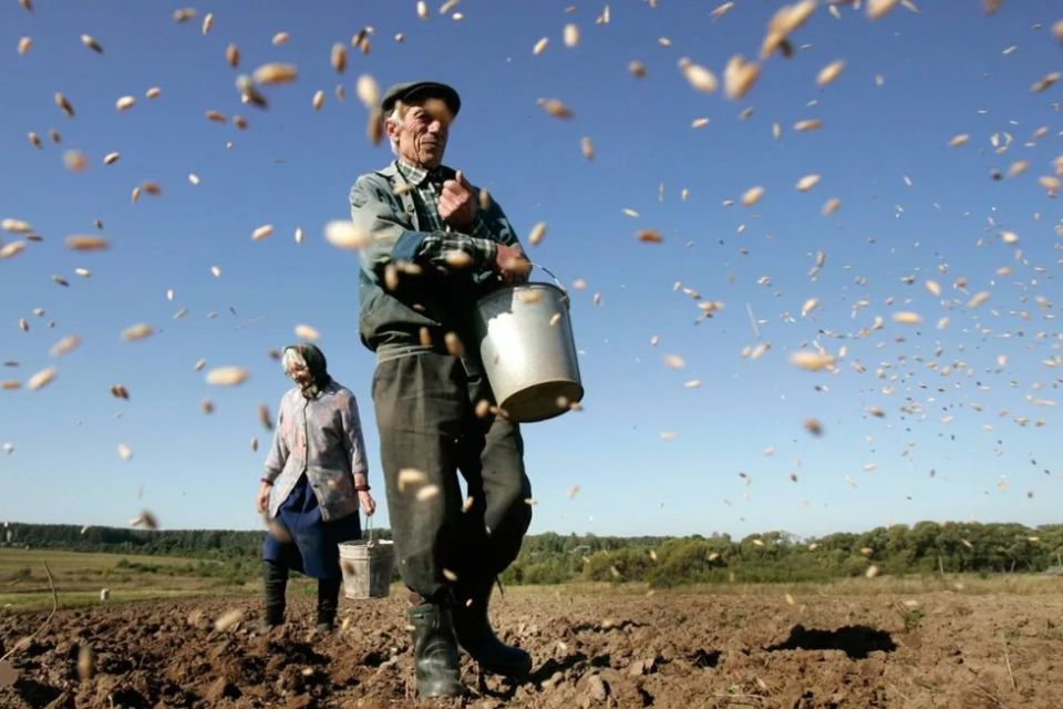 ������� ������ ��������: ��� ��� �������� �������