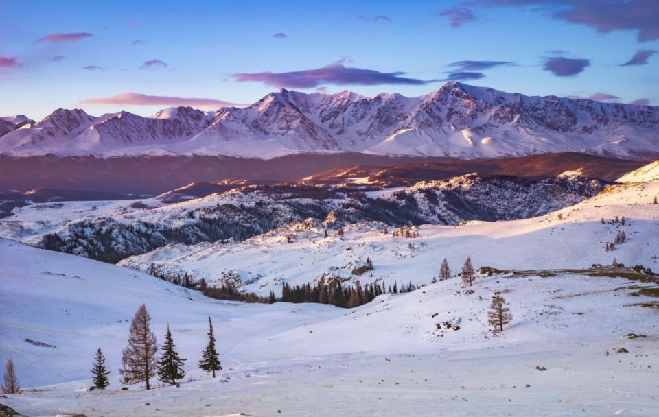 ������� ��� ������-������� �������