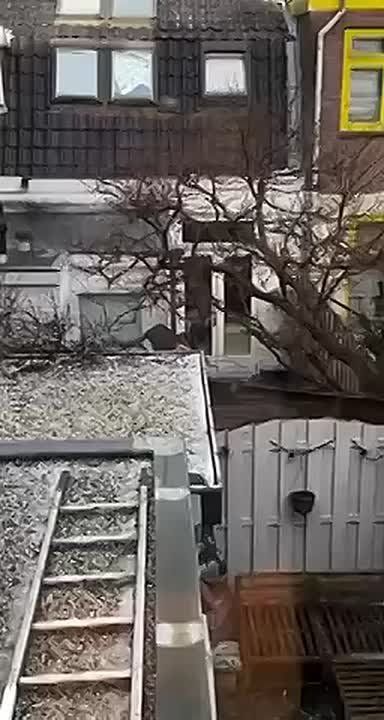 �� ��� ���� ��� ����� � ������ ��� ���, ���� ���� �����������!