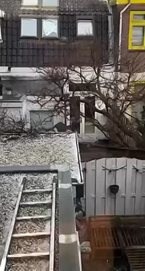 �� ��� ���� ��� ����� � ������ ��� ���, ���� ���� �����������!