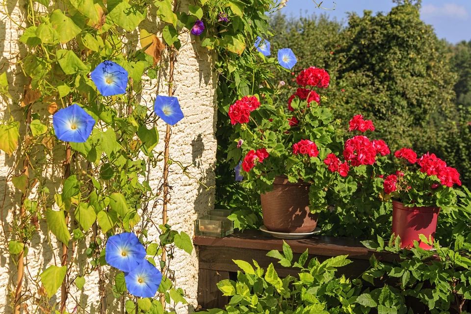 ��� ������� ������ ����� ����� �������� ��������� ������������� ��� ���������