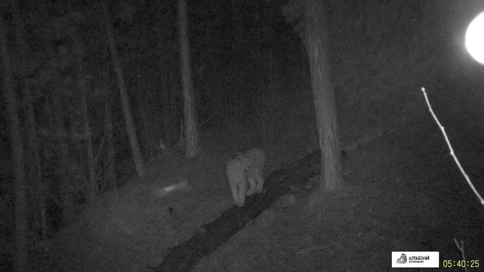 ��� ����� �������������� ����� ����� ������ ����� � ���������������� ���������� �����������