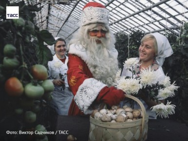 #архив_ТАСС_Сибирь. Дед Мороз с корзиной свежих тепличных шампиньонов