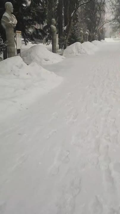 ������� � ����� ������, ����� 8 ������